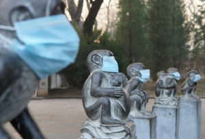 This photo taken on December 19, 2016 shows face masks on stone monkey statues in protest of the current heavy air pollution at Beijing Zoo in Beijing. Heavy smog suffocated northeast China for a fifth day on December 20, with hundreds of flights cancelled and road and rail transport grinding to a halt under the low visibility conditions. / AFP PHOTO / STR / China OUT