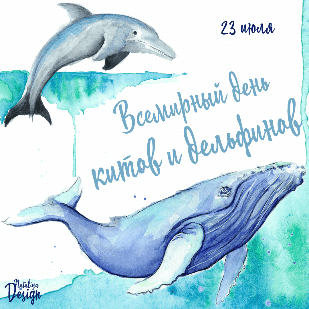 Всемирный День Китов и Дельфинов – спасем братьев наших “меньших”